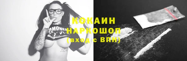 тгк Гусь-Хрустальный