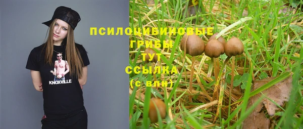 СК Гусев