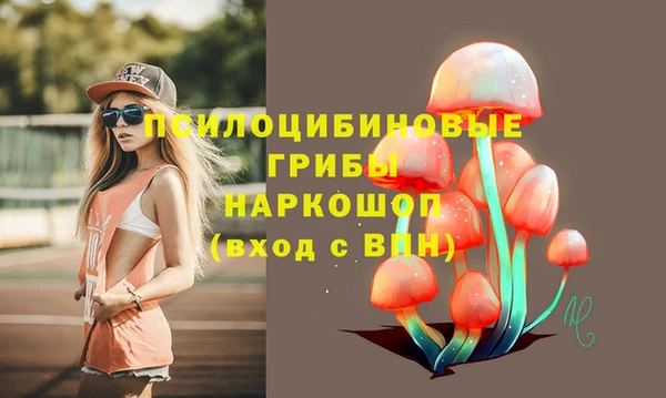 СК Гусев