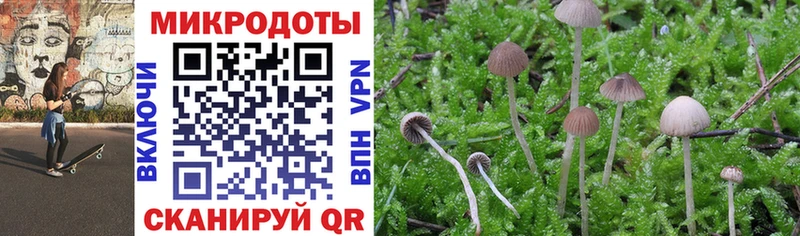 Галлюциногенные грибы MAGIC MUSHROOMS  kraken зеркало  Дрезна 